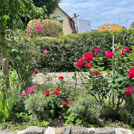 Fewo Apartment Lake Of Constance FDH Extérieur photo